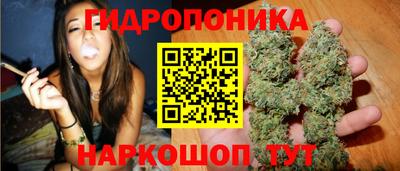 мдпв Ярославль