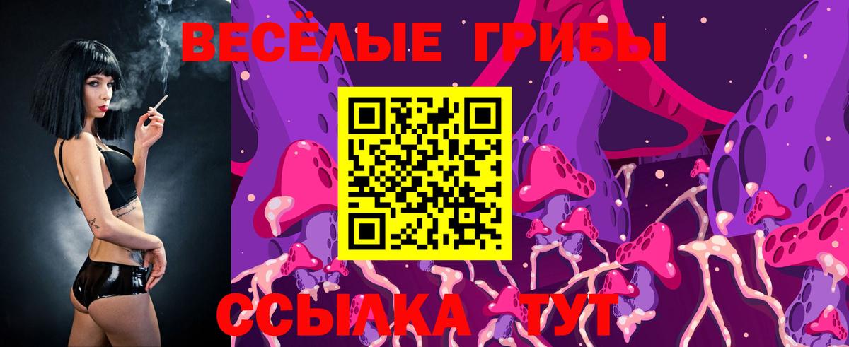 Псилоцибиновые грибы прущие грибы  Вход с VPN  Галлюциногенные грибы Psilocybe  Великий Новгород 